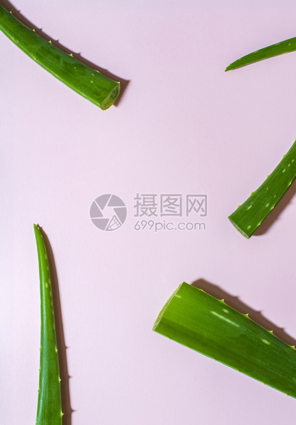 化妆品植物Aloevera在粉红背景上的叶子和相矛盾背景以及散落阿洛e健康与美貌概念叶片维拉图片