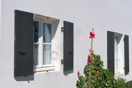 伊尔德雷霍利克斯和带有绿色百叶窗的白房子典型色欧洲图片