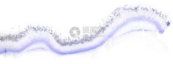 生物学在显微镜下五氯苯WM完全HD10xCA酵母抽象的图片