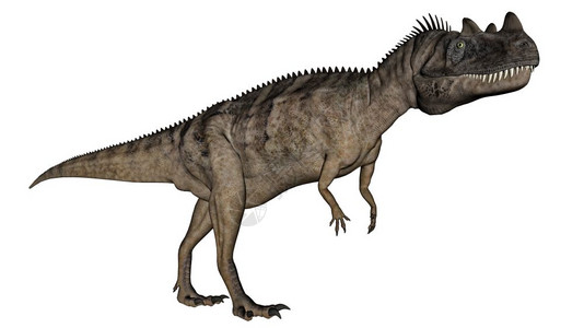在白色背景中与世隔绝的木卫一恐龙3D化成木卫二恐龙3D化成木卫二角鼻龙步行攻击图片