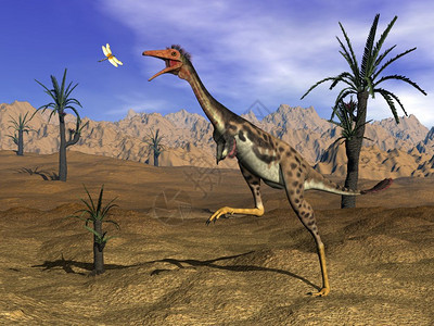 历史数字的动物Monononykus恐龙在沙漠中捕捉一只有柳木树包围的图片