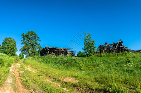 破坏树乡村的在俄罗斯阳光夏日的SunnySumny夏日一个废弃村庄中被毁坏的房屋图片