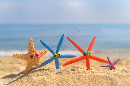 人物有趣的恒星鱼在海滩上的眼睛和背景海自然星图片