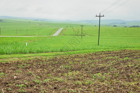 电气公路旁边的田地上电线自然环境图片