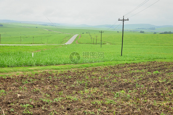 电气公路旁边的田地上电线自然环境图片