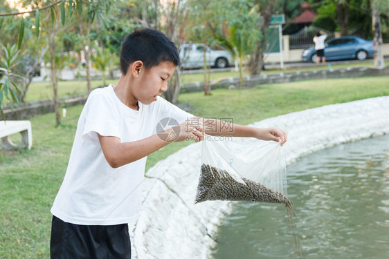 在池塘中喂鱼的泰国男孩动物亚洲人喜悦图片