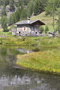 阿尔卑斯山水边的小屋图片