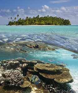 南太平洋库克群岛Aitutaki岛的热带湖南太平洋海滨岸线图片