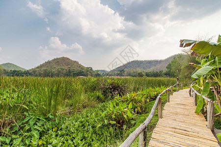 植物桥梁在泰国卡伦查纳布里有山地和天空风景的水库附近班布桥森林图片