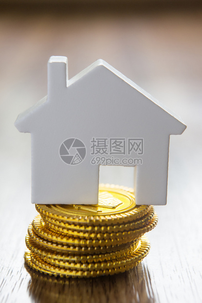 财产概念与金币皮质模拟房屋住货币销售图片