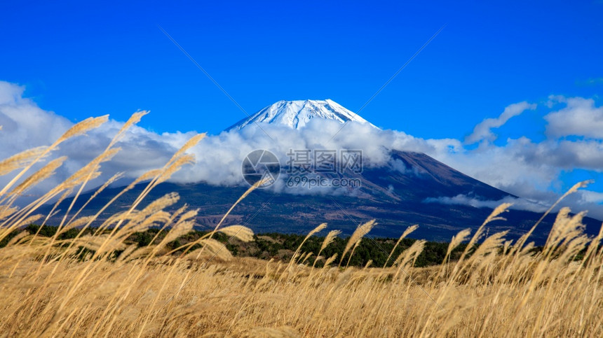 寒冷的日本人凉爽藤山和蓝天空背景日本草原的地占面图片