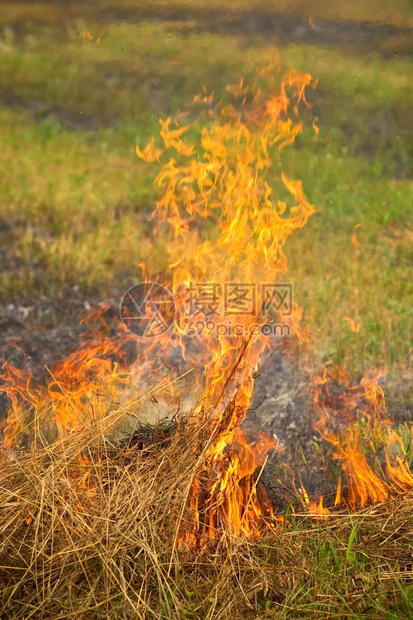 在夏季的野火中烧干草焰危险空气图片