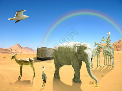 老的土地洪水诺亚方舟大象鸟长颈鹿在沙漠与彩虹图片