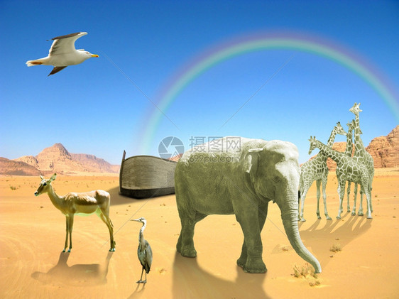 老的土地洪水诺亚方舟大象鸟长颈鹿在沙漠与彩虹图片