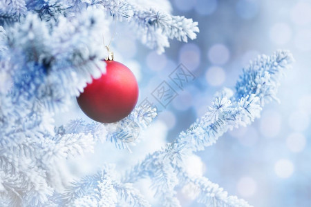 绞刑玩具红圣诞舞会挂在雪冬森林的树枝上十二月图片
