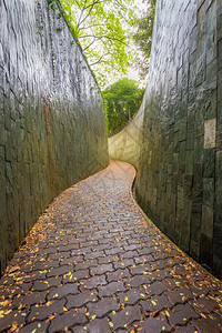 堡现代的带楼梯和大树背景的地下穿越隧道新加坡福康宁公园游客的新地标屋顶图片