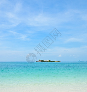 植物泰国热带海滩水晶清泰国海岸绿色图片