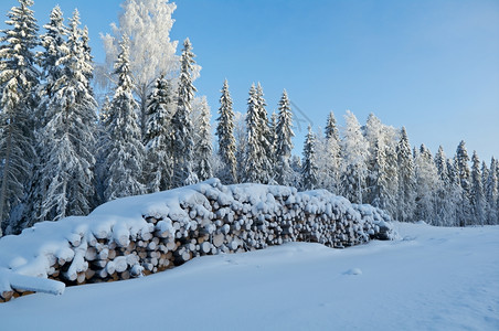 冬季地貌由下层覆盖的日志堆积美丽雪花白色的图片
