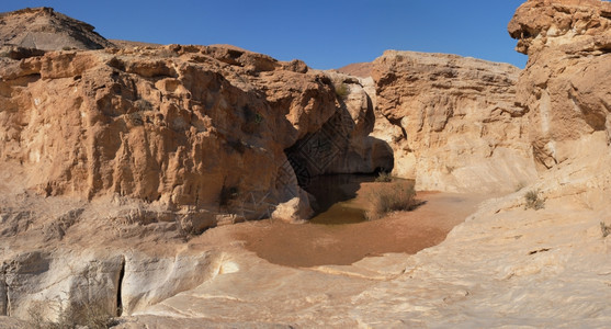 波隆斯基墙以色列内盖夫沙漠峡谷的小池塘公园图片