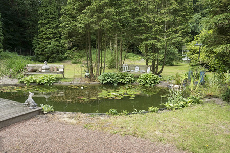 英语花园配有池塘甜菜水树和鲜花绿色玉簪栽培的图片