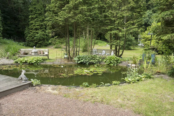 英语花园配有池塘甜菜水树和鲜花绿色玉簪栽培的图片