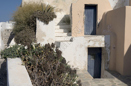 家希腊圣托里尼山Thira的花园中房子墙传统图片