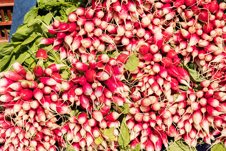 成熟生物市场上的红萝卜新品种植物叶子图片