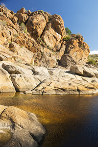 绿色农村有高悬崖的水洞澳大利亚人次数偏后树沙漠图片