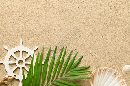绿棕榈叶装饰船方向盘和贝壳沙滩图片