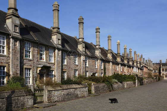 猫欧洲最古老的整条街道之一即14世纪牧师步行道西南英格兰韦塞克斯的威尔市为附近大教堂合唱团建造了住宅结的英语图片
