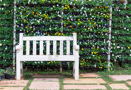 院子松弛长椅在垂直花园前的白色木板凳子图片
