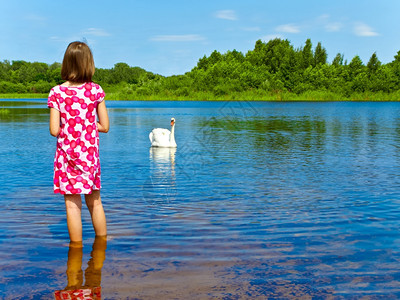 生活支撑湖中女孩和白天鹅的童乐趣图片
