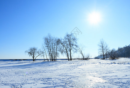 寒冬有阳光和树木的美丽风景雪冰图片