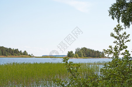 晴天浪漫的阳光照射在瑞典瓦尔姆兰湖边的夏日落在湖边的夏季日落图片