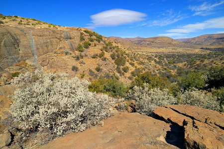 目的地南非Zebra山公园野花风景观泽布拉山保护岩石图片