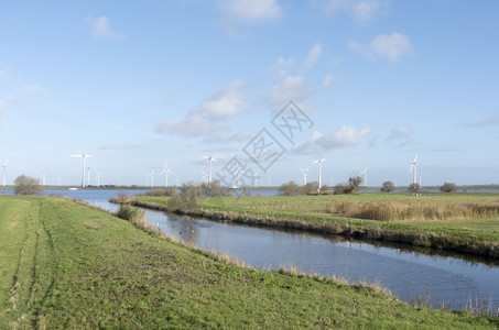 环保Spakenburg著荷兰的牧草地风车图片