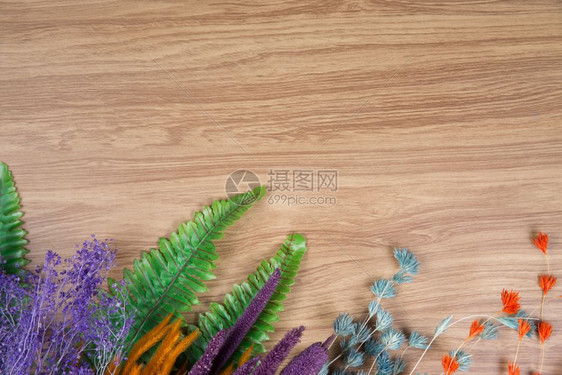 木本底的斯帕装饰桌子新鲜的植物群图片