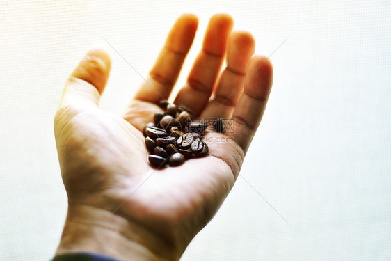 手中的咖啡豆图片