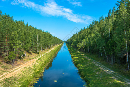 天绿色在俄罗斯Ivanovo地区阳光明媚的夏日伏尔加乌沃德运河在密的森林中布设一种图片