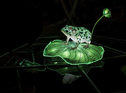 荷兰传统的水这个灯光节旨在向世界展示文化与青蛙一起开新年轻风节的开始让世界看清文化青蛙和之间的新年淡光节图片
