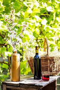 在绿树叶背景上瓶子和杯红葡萄酒下仍然有生命瓶子和一杯红葡萄酒香槟饮料摄影图片