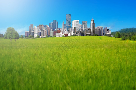 自然绿草城市现代高楼建筑的化设的绿色户外图片