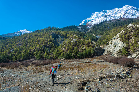 尼泊尔Sunny日前往Milarepa山洞道的一群游客米拉日巴一种闲暇图片