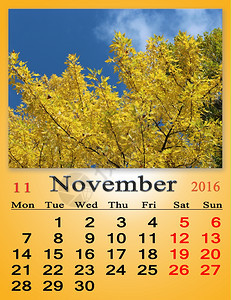 2016年月的日历公园里有黄叶月的日历公园里有黄叶约定季节十月图片