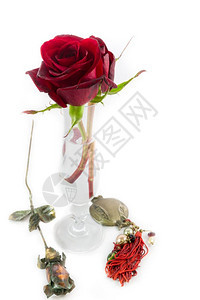 浪漫的两颗玫瑰花在瓦塞金属玫瑰和石榴中白色背景的情人节成份象征红色的图片