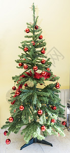 云杉圣诞树上挂吊球快乐的传统图片