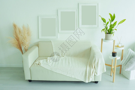 活的站立室内海报上装有三个垂直空白色框架灰沙发和毛毯家庭植物和香味贴在白墙起居室的壁边白色图片