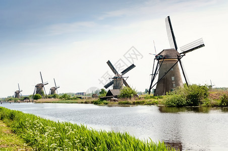 田园诗般的荷兰Kinderdijk风车照片植物群春天图片