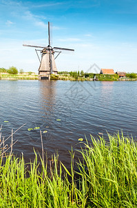 河荷兰Kinderdijk风车照片墙纸植物群图片