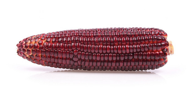 红色糯玉米图片